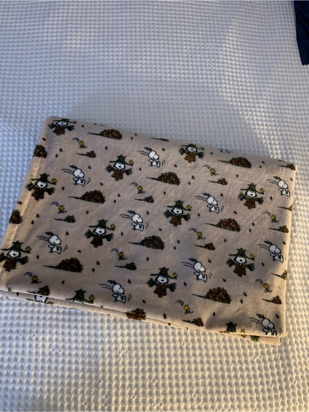 Peanuts Beige Snoopy Autumn harvest fall Throw Blanket